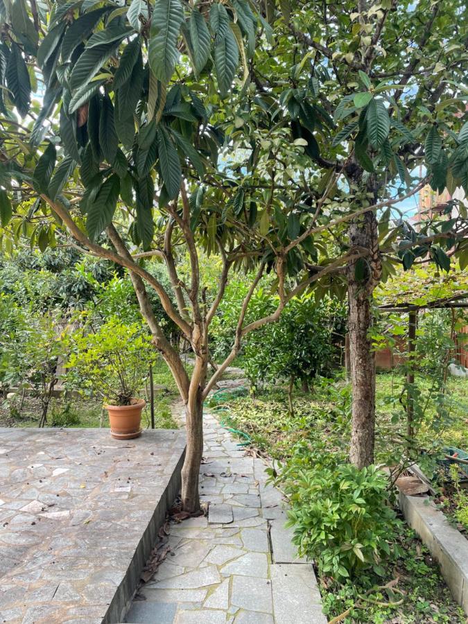 Gardenie Daire Kutaisi Dış mekan fotoğraf